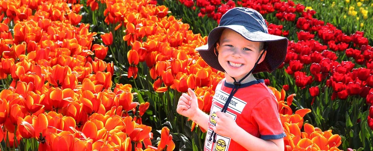 DND Gospić dečko u polju cvijeća tulipani